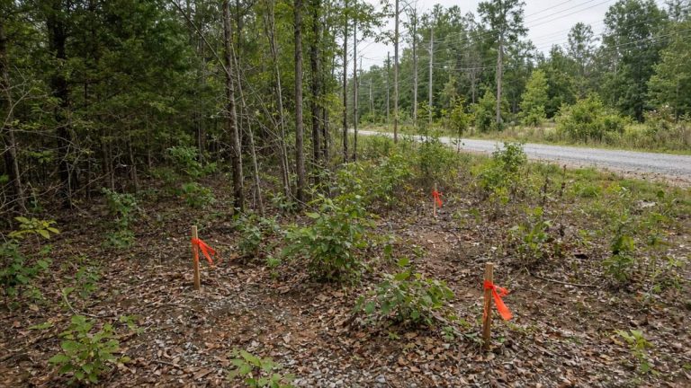Land loan - Land Loan: How to Finance a Lot or Acreage and What Lenders Require